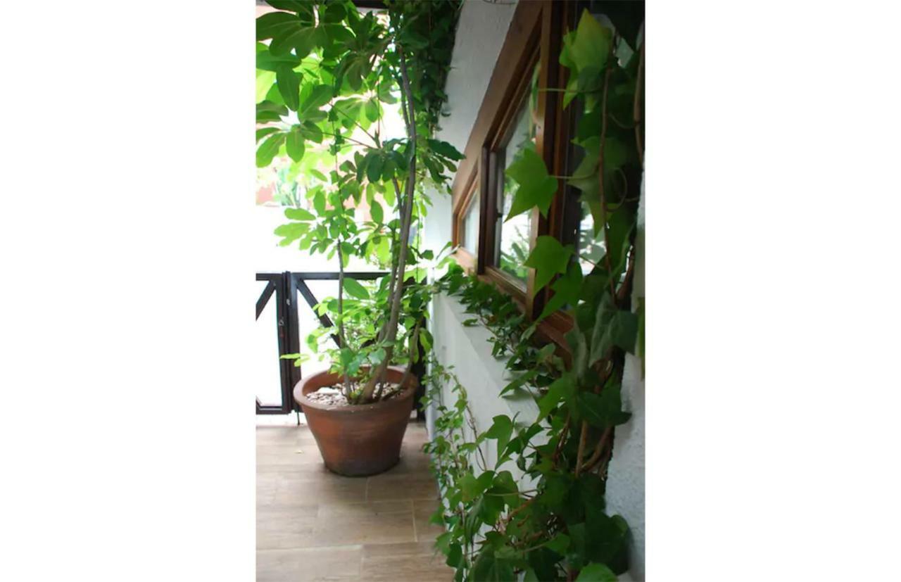 Casa Del Mediterraneo La Herradura  Extérieur photo